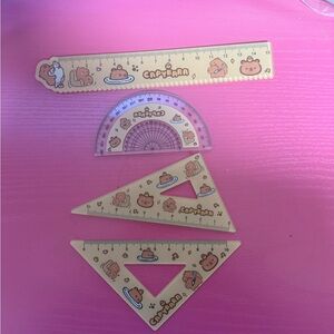 4 piece capybara ruler set